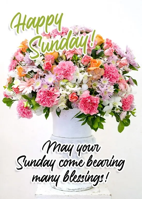 May your Sunday come bearing many blessings!  Happy Sunday! 