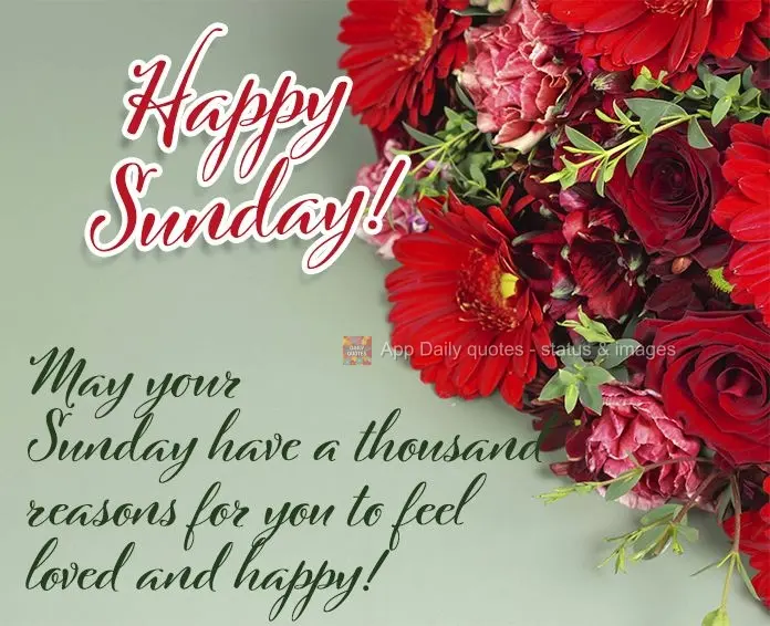 May your Sunday have a thousand reasons for you to feel loved and happy! Happy Sunday!