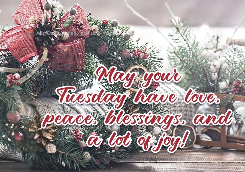 May your Tuesday be full of love, peace, blessings, and a lot of joy! 