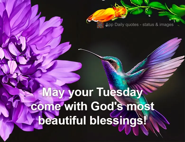 May your Tuesday come with God's most beautiful blessings!
