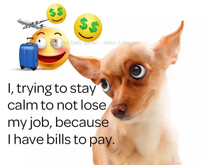 Me, when I ask my boss for a raise and a vacation.