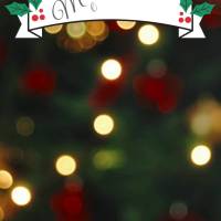 Merry Christmas and Happy New Year!