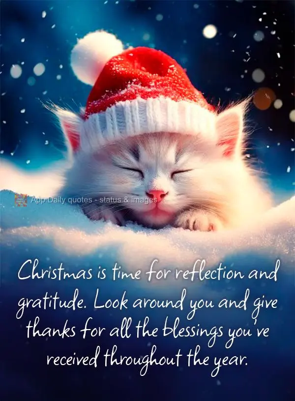 Christmas is time for reflection and gratitude. Look around you and give thanks for all the blessings you've received throughout the year.