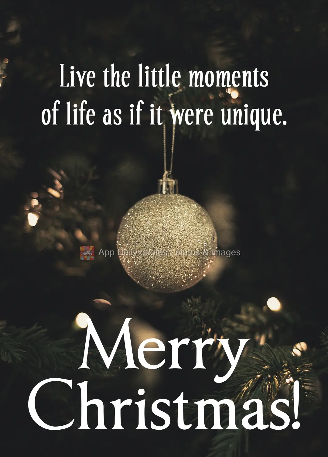 Live the little moments of life as if they were unique.  Merry Christmas!