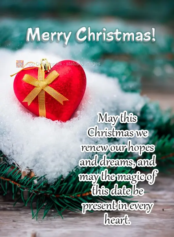 May this Christmas we renew our hopes and dreams, and may the magic of this date be present in every heart. Merry Christmas!