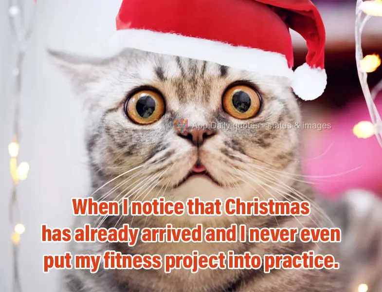 When I notice that Christmas has already arrived and I never even put my fitness project into practice.