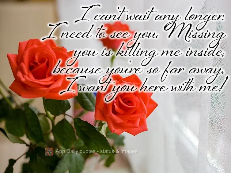 I can't wait any longer. I need to see you. Missing you is killing me inside, because you're so far away. I want you here with me!