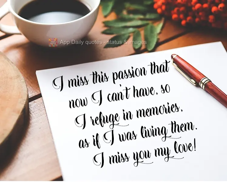 I miss that passion that I now can't have, so I take refuge in the memories, as if I were living them. I miss you my love!