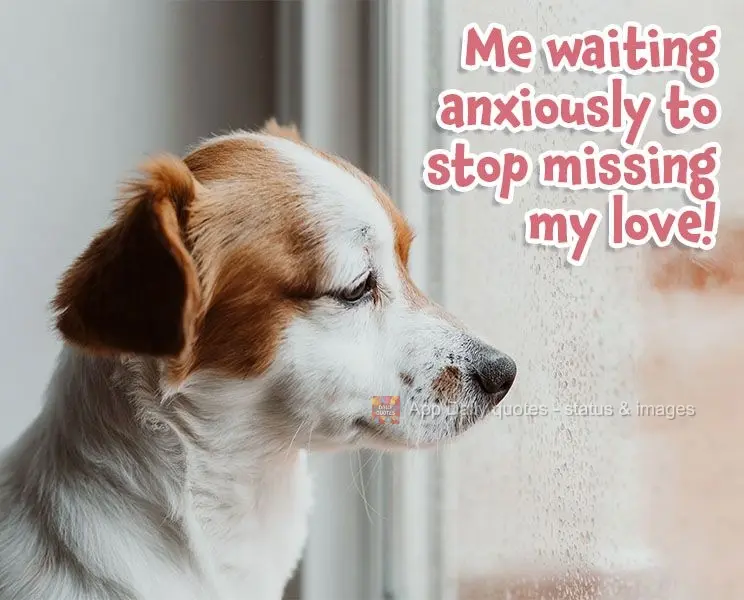 Me waiting anxiously to stop missing my love!