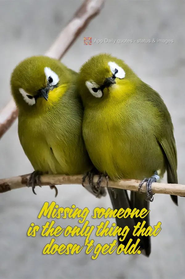 Missing someone is the only thing that doesn't get old.