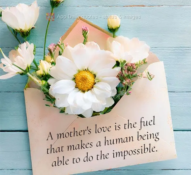 A mother's love is the fuel that makes a human being able to do the impossible.