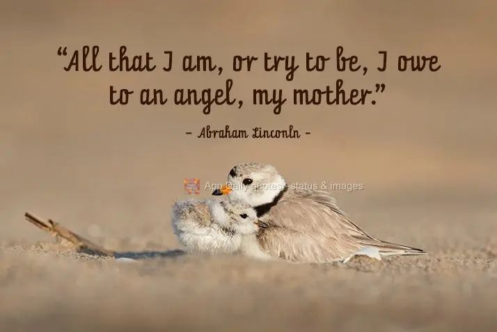 "All that I am, or try to be, I owe to an angel, my mother." Abraham Linconln