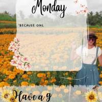Monday

'Because only I know the plans in store for all of you', said the Lord, 'plans to make you all prosper and cause you no pain, plans to give you...