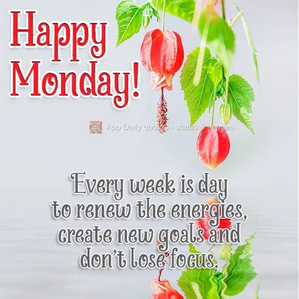 Every week brings a new day to refresh your energy, create new goals, and to not lose focus. Happy Monday!