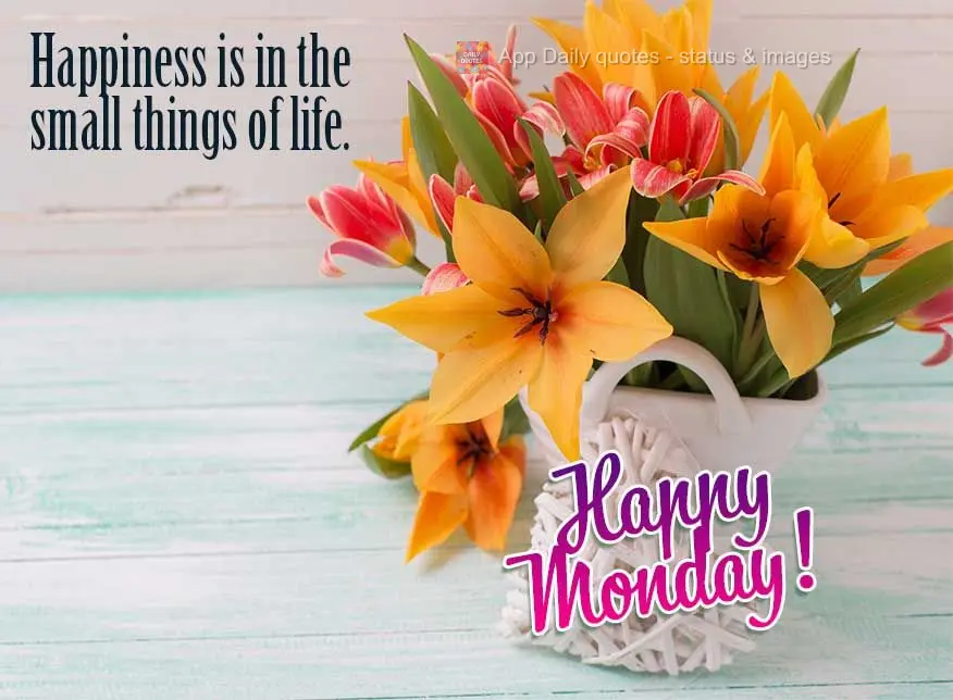 Happiness is in the small things of life. Happy Monday!