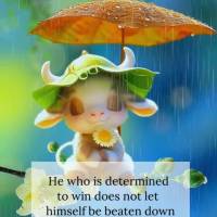 He who is determined to win does not let himself be beaten down by circumstances, but rather becomes stronger with them. Monday