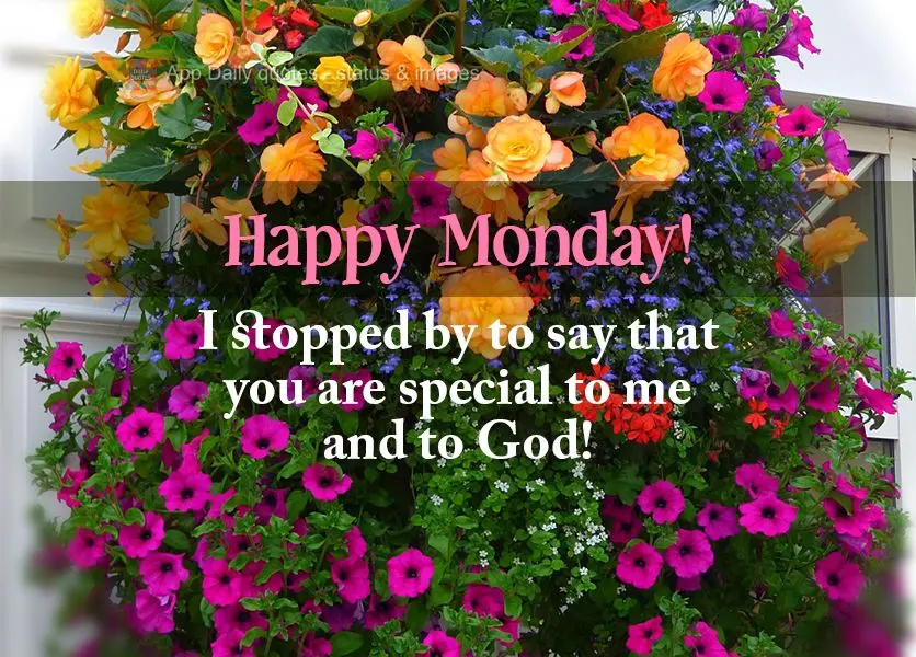 I stopped by to say that you are special to me and to God! Happy Monday!