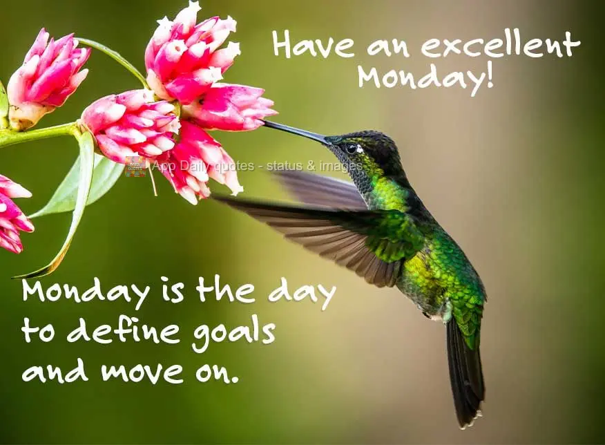 Monday is the day to define goals and move on. Have an excellent Monday!