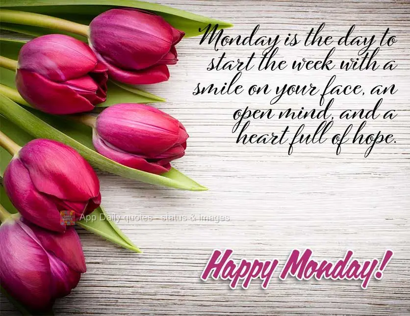 Monday is the day to start the week with a smile on your face, an open mind, and a heart full of hope. Happy Monday!