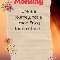 Life is a journey, not a race. Enjoy the stroll and don't worry about getting to your destination too quickly. Monday