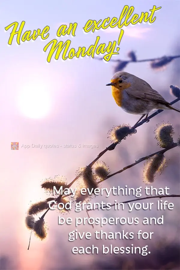 May everything that God grants in your life be prosperous, and remember to give thanks for each blessing. Have an excellent Monday!