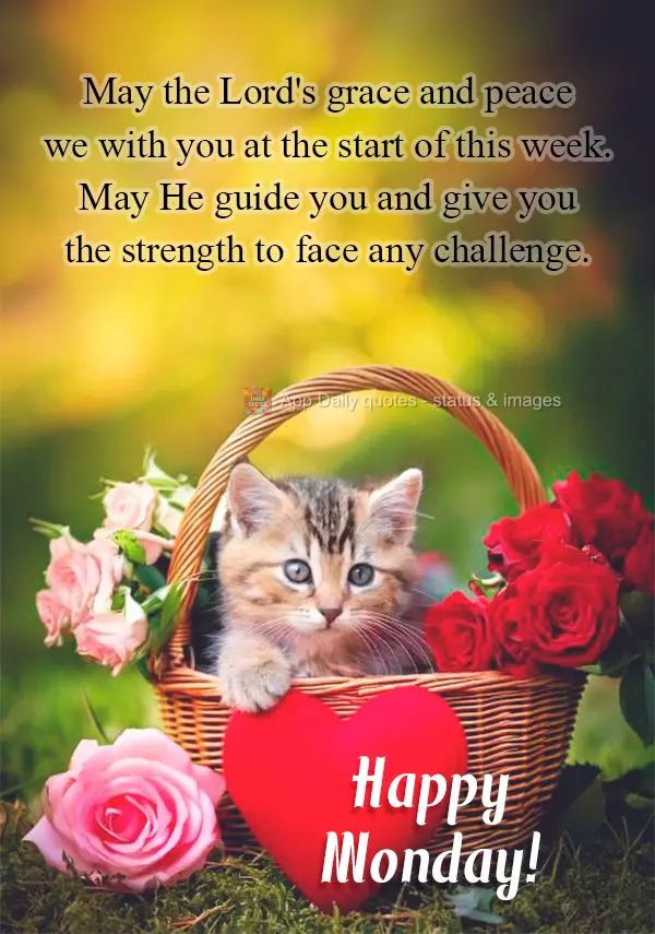May the Lord's grace and peace we with you at the start of this week. May He guide you and give you the strength to face any challenge. Happy Monday!