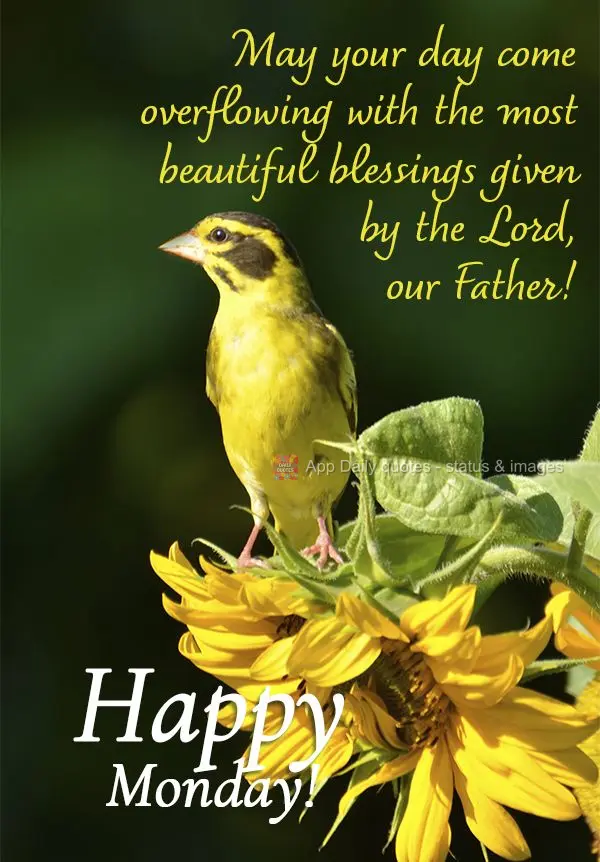 May your day overflow with the most beautiful blessings given by the Lord, our Father! Happy Monday!