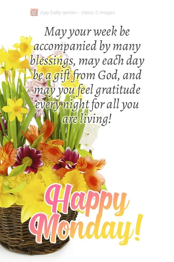 May your week be accompanied by many blessings, may each day be a gift from God, and may you feel gratitude every night for all you are experiencing! Hap...