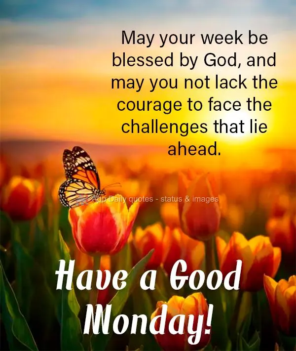 May your week be blessed by God, and may you not lack the courage to face the challenges that lie ahead. Have a Good Monday!