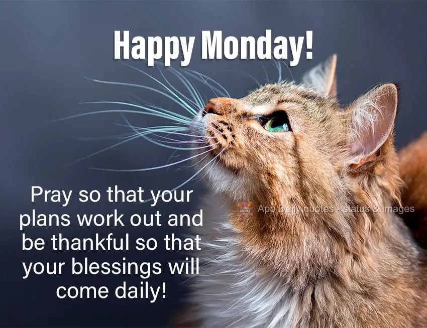 Pray so that your plans work out and be thankful so that your blessings will come daily! Happy Monday!