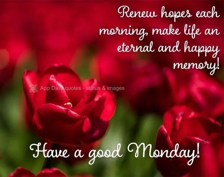 Restore your hope each morning. Make life an eternal and happy memory! Have a good Monday!