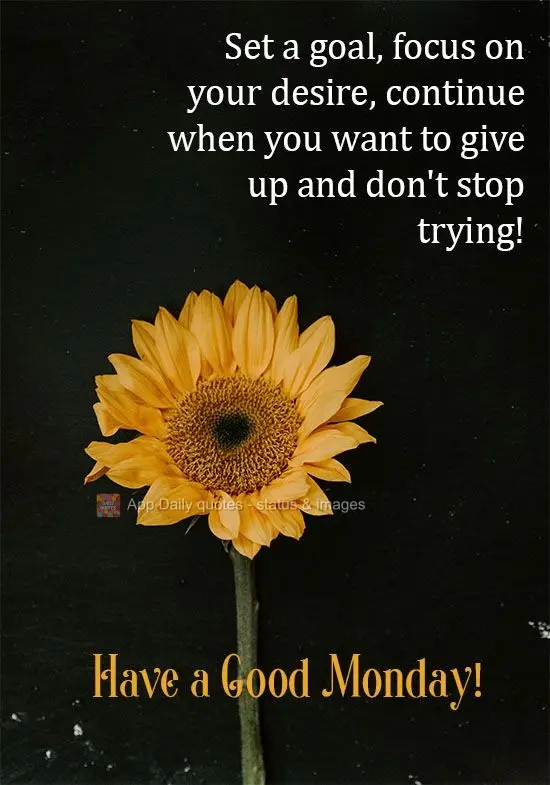 Set a goal, focus on your desire, continue even when you want to give up, and don't stop trying! Have a Good Monday!