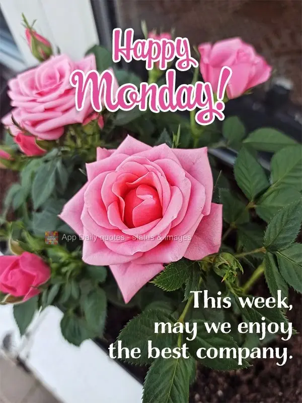 This week, may we enjoy the best company. Happy Monday!