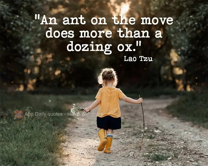 "An ant on the move does more than a dozing ox." Lao Tzu