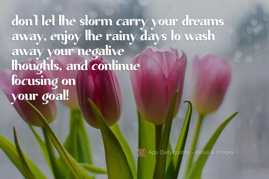 Don't let the storm carry your dreams away. Instead, let the rainy days wash away your negative thoughts, and continue focusing on your goal!