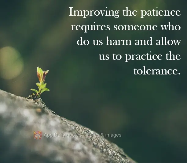 Improving one's patience requires that someone do us harm and allow us to practice tolerance.