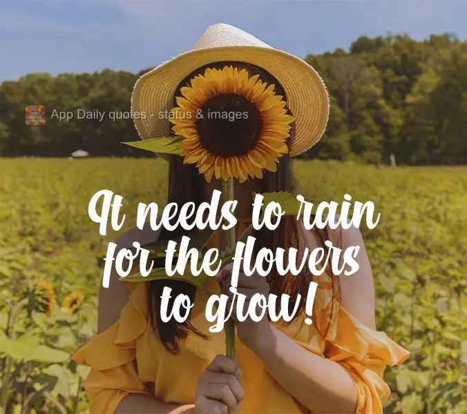 It needs to rain for the flowers to grow! 