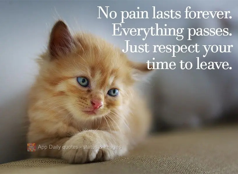No pain lasts forever. Everything passes. Just respect the time it takes for yours to pass.