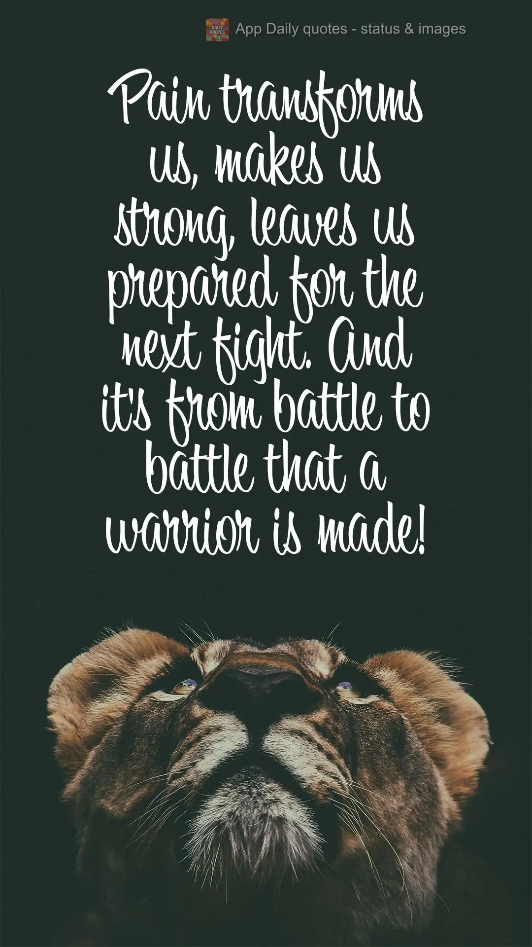 Pain transforms us, makes us strong, leaves us prepared for the next fight. And it's from battle to battle that a warrior is made!