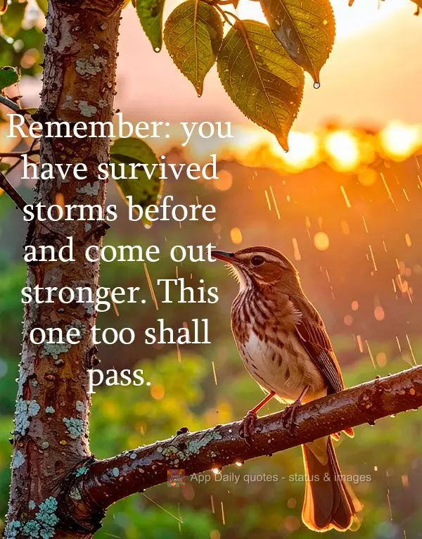 Remember: you have survived storms before and come out stronger. This one too shall pass.
