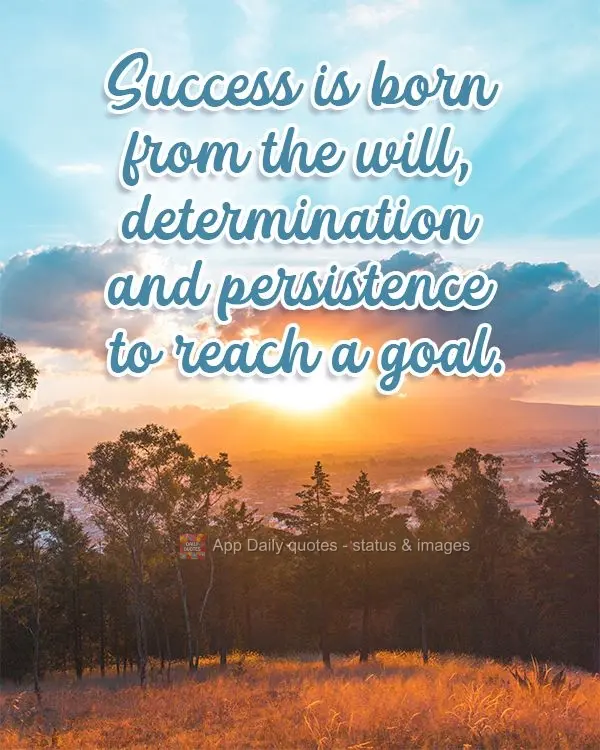 Success is born from the will, determination and persistence to reach a goal.