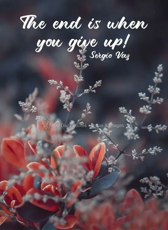 The end is when you give up!  Sergio Vaz