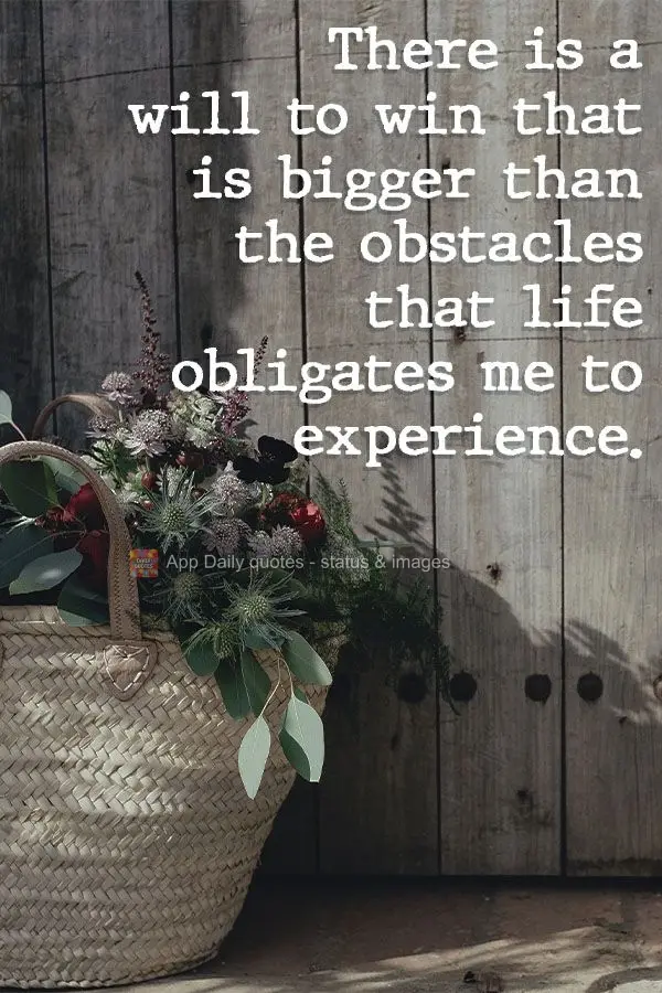 There is a will to acheive that is bigger than the obstacles that life forces me to experience.