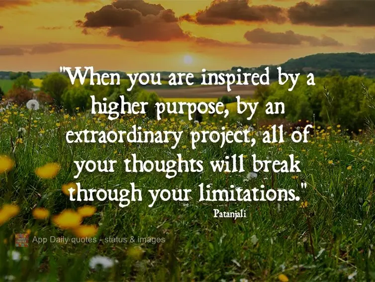 "When you are inspired by a higher purpose, by an extraordinary project, all of your thoughts will break through your limitations." Patanjali