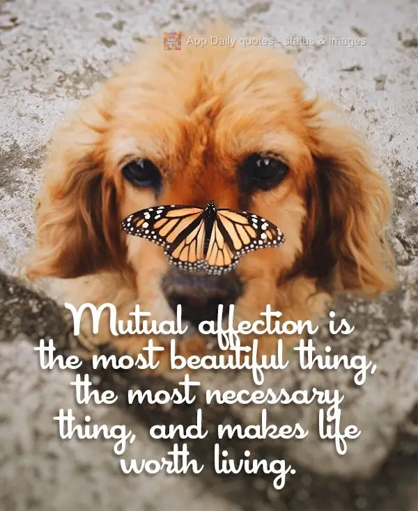 Mutual affection is the most beautiful thing, the most necessary thing, and makes life worth living.