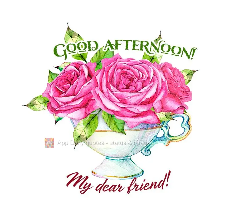 My dear friend! Good afternoon!