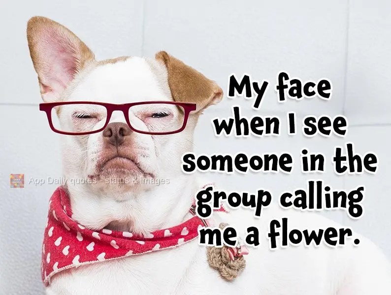 My face when I see someone in the group calling me a flower.