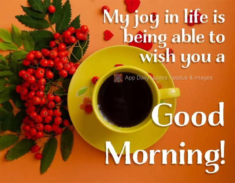 My joy in life is being able to wish you a Good Morning!