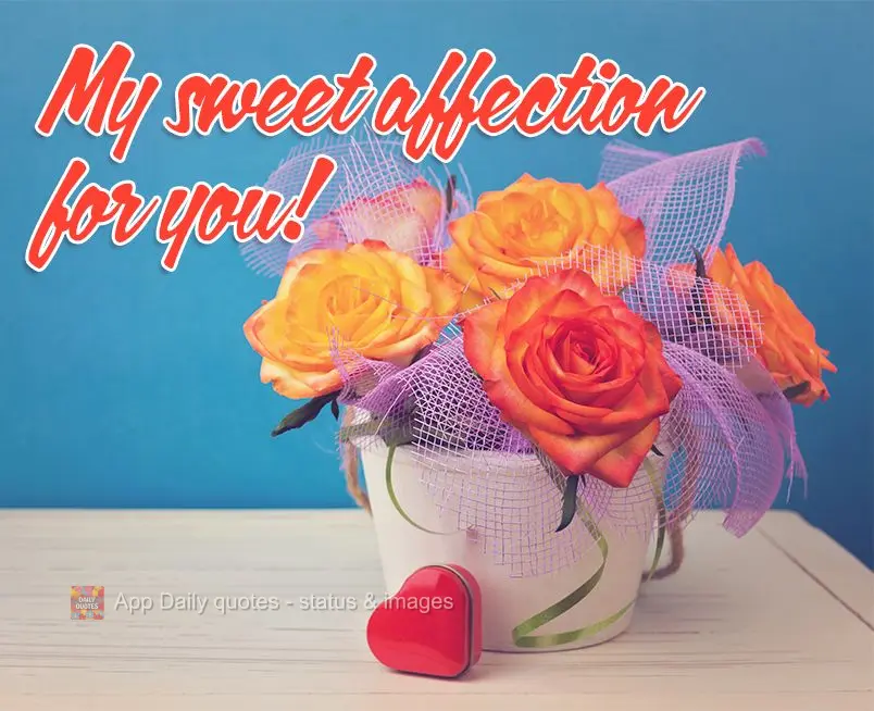 My sweet affection for you!