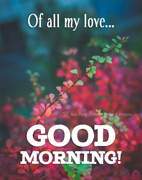 Of all my love Good morning!
